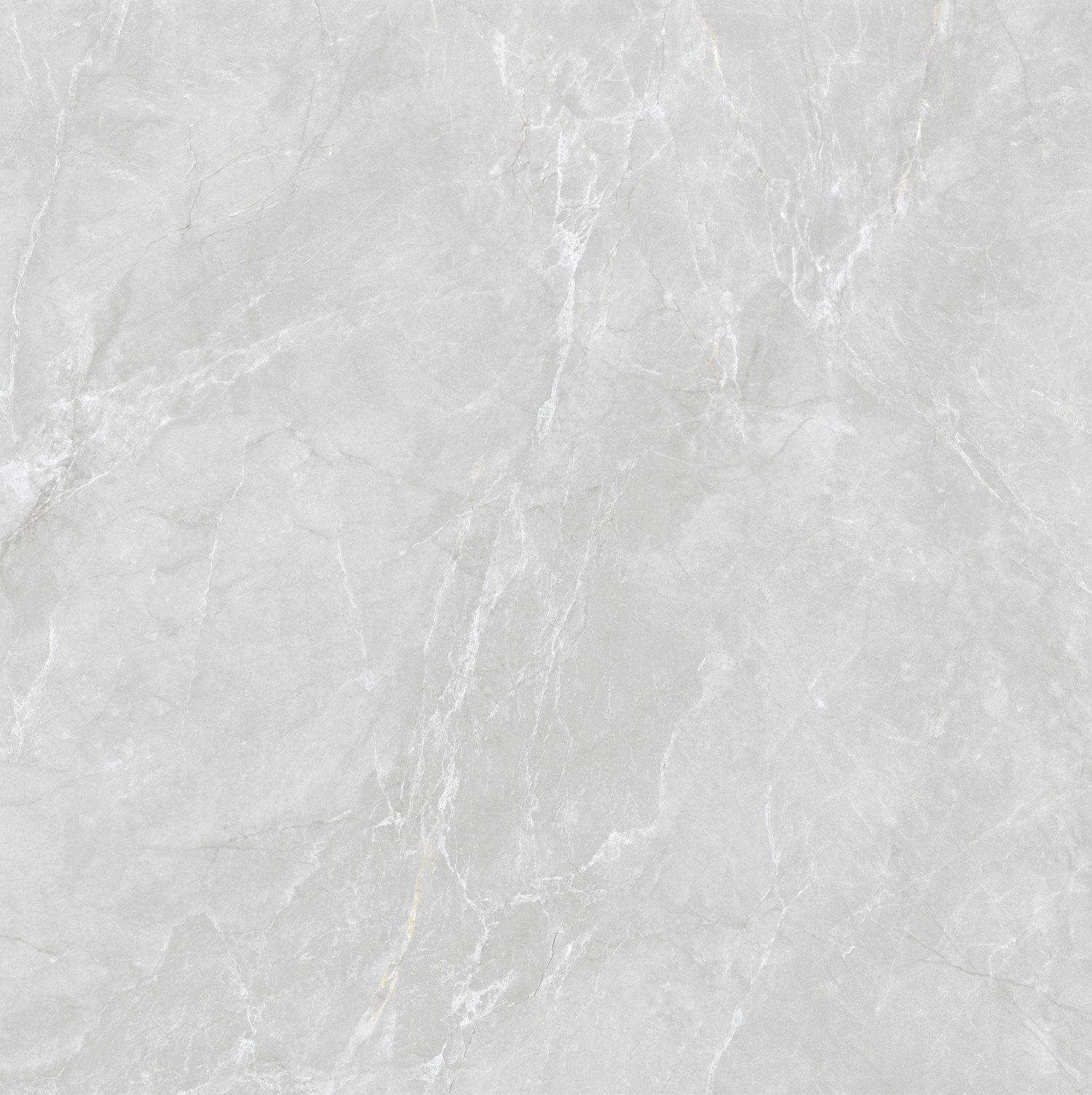 納斯卡 WAP80629T產(chǎn)品圖