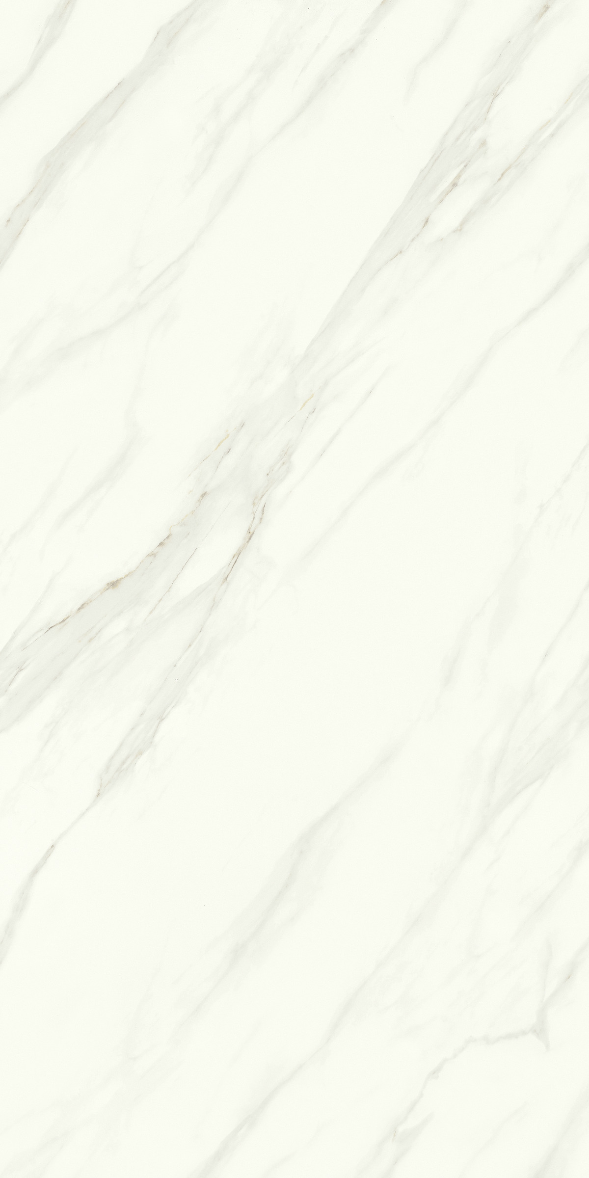 特級水云紗 DLP918203F 產品圖