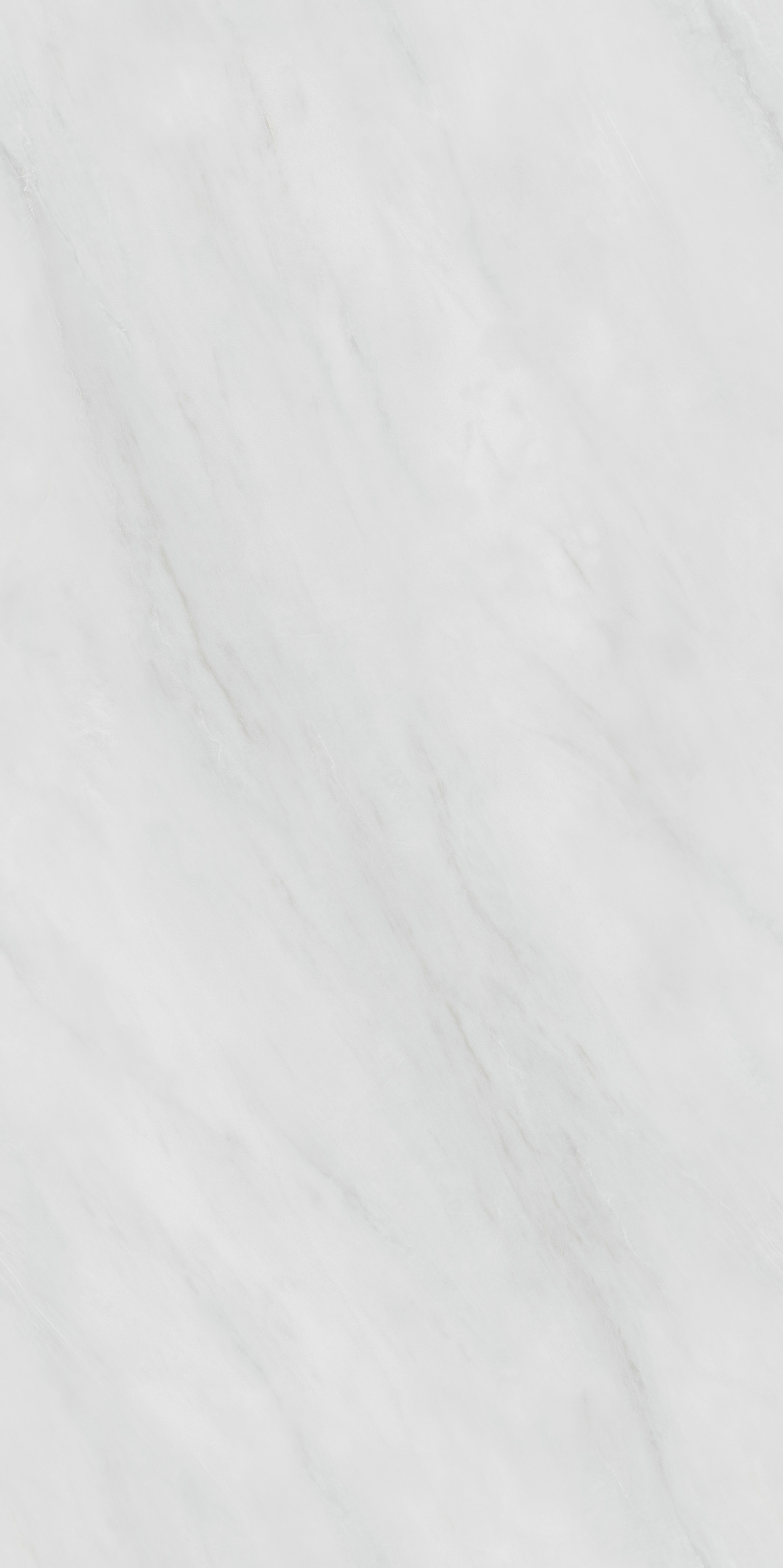 云霧綃 QZ126JR608C 產品圖